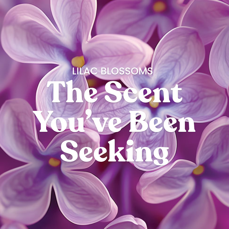 Yankee Candles 3-Wick Candle - Lilac Blossoms