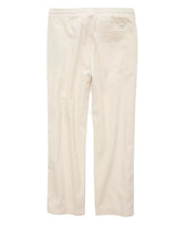 American Eagle Mens AE Pull-On Trekker Pants