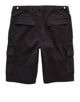 American Eagle Mens AE 10" Flex Lived-In Cargo Shorts