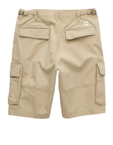 American Eagle Mens AE 10" Flex Lived-In Cargo Shorts
