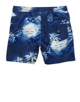 American Eagle Mens AE 5" Flex Swim Trunks