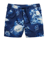 American Eagle Mens AE 5" Flex Swim Trunks