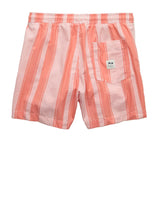 American Eagle Mens AE 5" Flex Swim Trunks