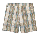 American Eagle Mens AE 5" Flex Swim Trunks