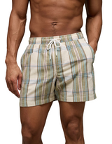 American Eagle Mens AE 5" Flex Swim Trunks