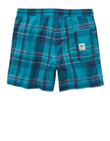 American Eagle Mens AE 5" Flex Swim Trunks