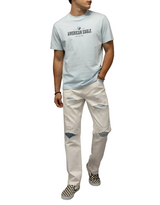 American Eagle Mens AE Standard Fit Graphic Logo Short Sleeve T-Shirt