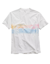 American Eagle Mens AE Standard Fit Destination Graphic Short Sleeve T-Shirt