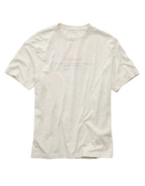 American Eagle Mens AE Standard Fit Destination Graphic Short Sleeve T-Shirt