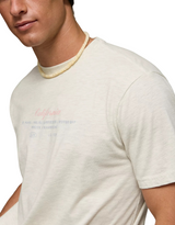 American Eagle Mens AE Standard Fit Destination Graphic Short Sleeve T-Shirt