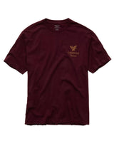 American Eagle Mens AE Standard Fit Graphic Logo Short Sleeve T-Shirt