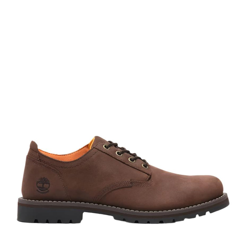 Timberland Mens Redwood Falls Lace-Up Waterproof Shoe