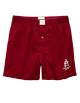 American Eagle Mens AEO Stretch Boxer Shorts