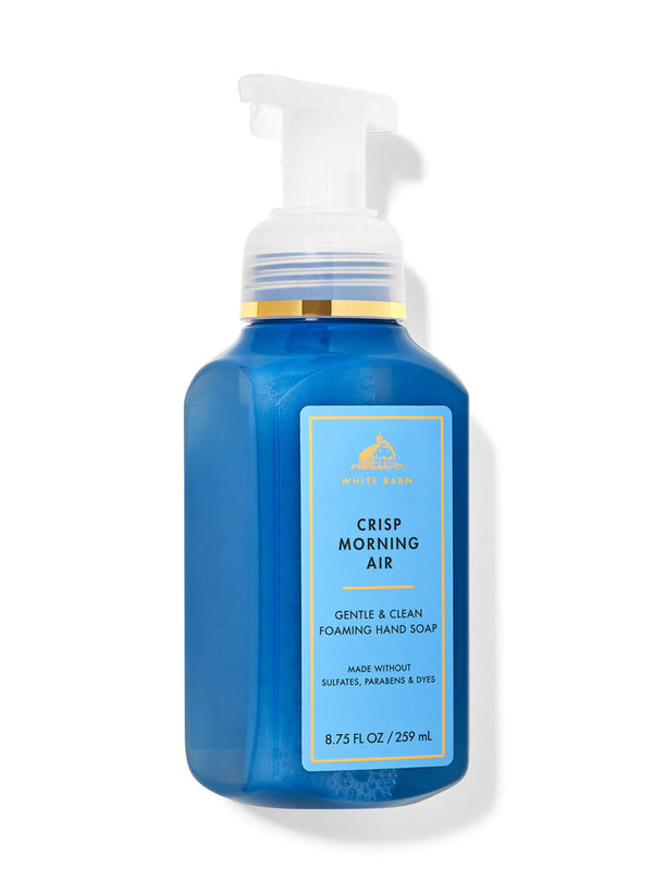 Bath & Body Works Gentle Foaming Hand Soap - Crisp Morning Air