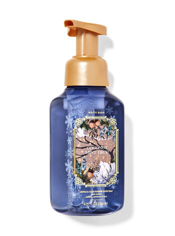Bath & Body Works Gentle Foaming Hand Soap - Coconut Mint Drop