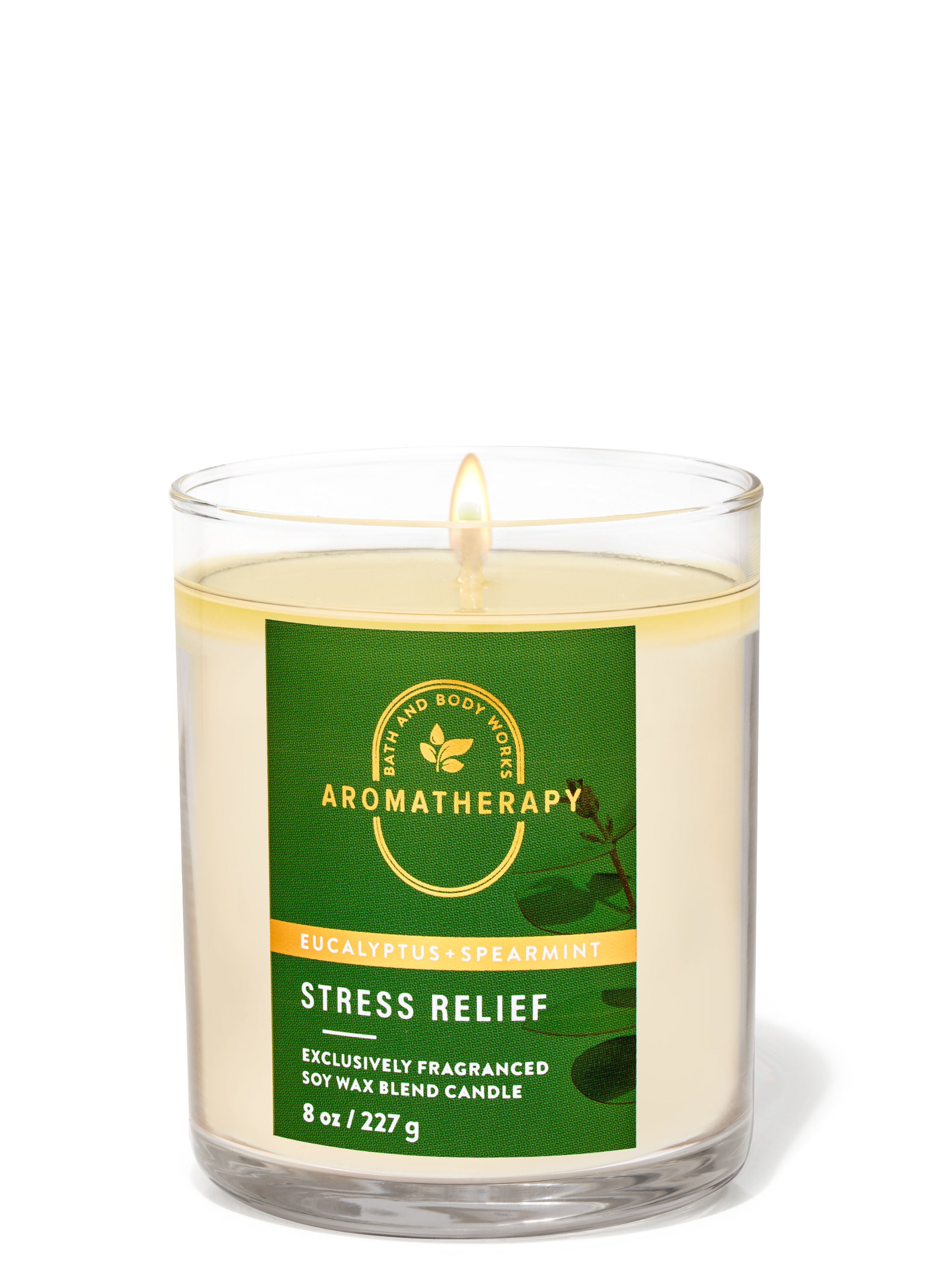 Bath & Body Works Single Wick Candle - Eucalyptus Spearmint