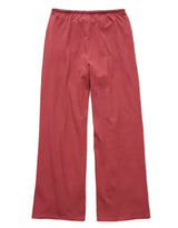 American Eagle Womens  AE Saturday Straight Pants