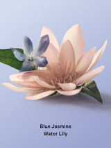 Victoria's Secret Blue Jasmine Water Lily Whipped Body Scrub