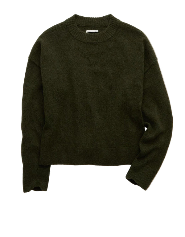 American Eagle Womens AE Whoa So Soft Classic Crew Neck Sweater