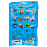Impact Photographics Marine Life Mystery Pack
