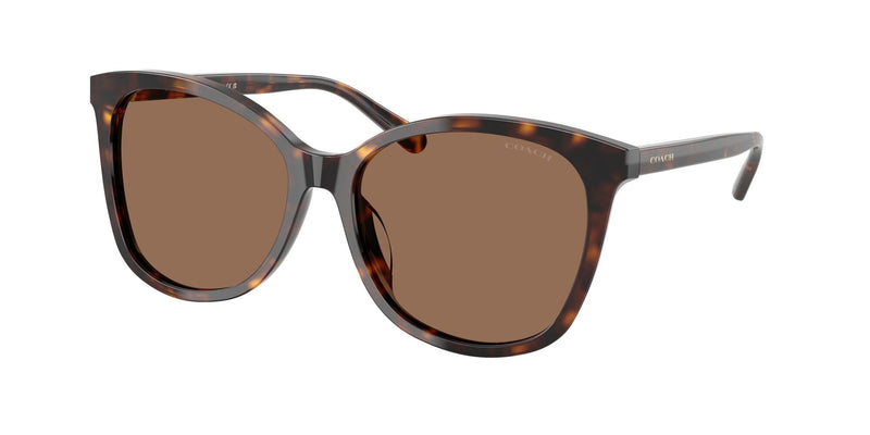 Coach Womens Non-Polarized Sunglasses - Dark Tortoise/Dark Brown