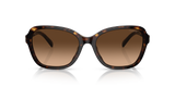 Coach Irregular Non-Polarized Sunglasses - Dark Tortoise/Brown Gradient