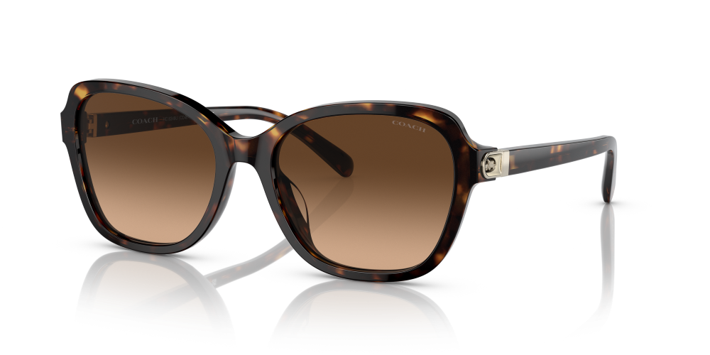 Coach Irregular Non Polarized Sunglasses Dark Tortoise Brown Gradien