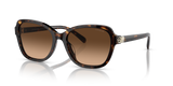 Coach Irregular Non-Polarized Sunglasses - Dark Tortoise/Brown Gradient