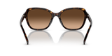 Coach Irregular Non-Polarized Sunglasses - Dark Tortoise/Brown Gradient