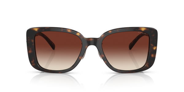 Coach Square Non-Polarized Sunglasses - Dark Tortoise/Dark Brown Mirror