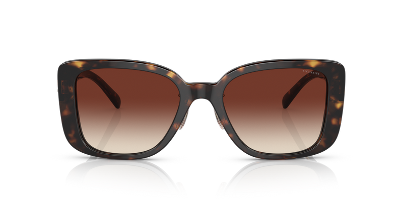 Coach Square Non-Polarized Sunglasses - Dark Tortoise/Dark Brown Mirror