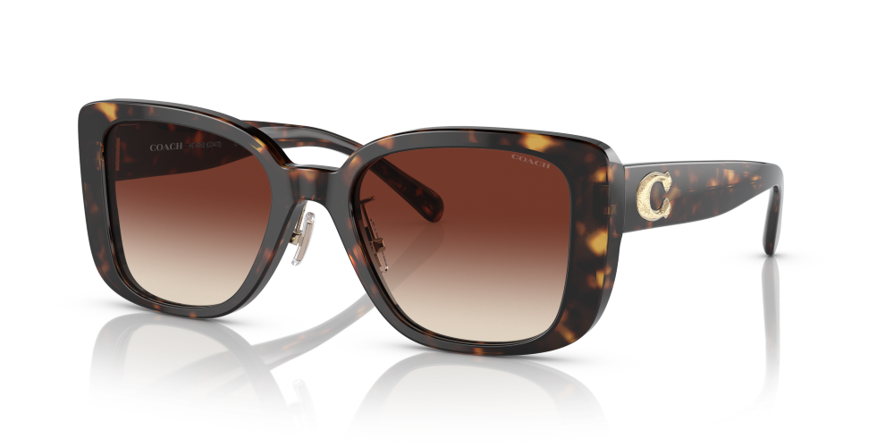 Coach Square Non-Polarized Sunglasses - Dark Tortoise/Dark Brown Mirror