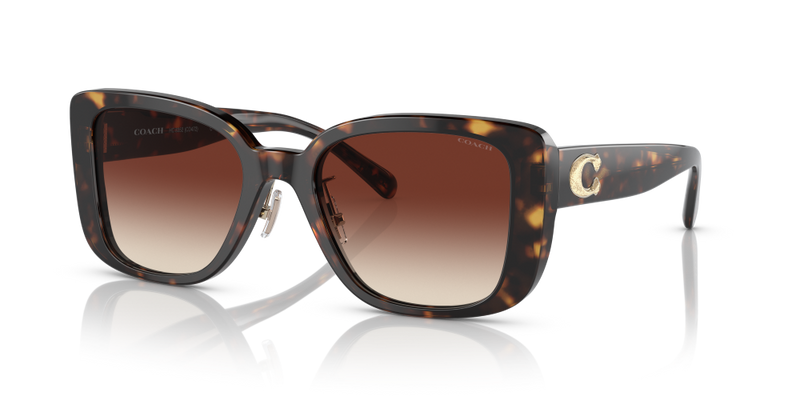 Coach Square Non-Polarized Sunglasses - Dark Tortoise/Dark Brown Mirror