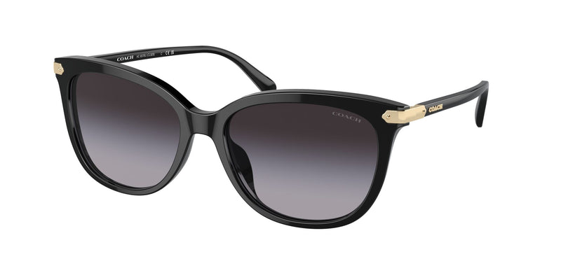 Coach Womens Non-Polarized Sunglasses - Black/Grey Gradient