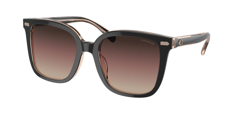 Coach Womens Non-Polarized Sunglasses - Black/Transparent Blush/Brown Purple Grey Gradient
