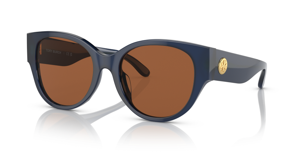 Tory Burch Cat Eye Non-Polarized Sunglasses - Transparent Navy/Brown