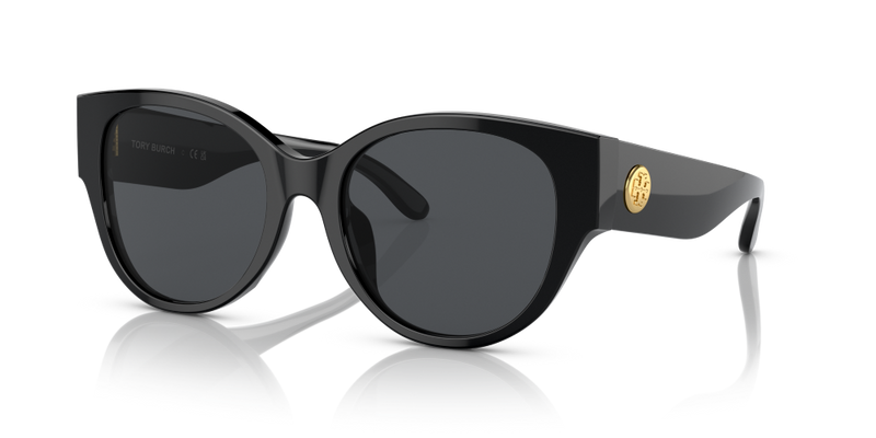 Tory Burch Cat Eye Non-Polarized Sunglasses - Black/Gray