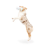 Huxley & Kent Squeak 'N Peek Frosty Snowman Dog Toy