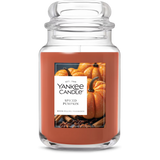 Yankee Candle Original Large Jar Candle - Spiced Pumpkin