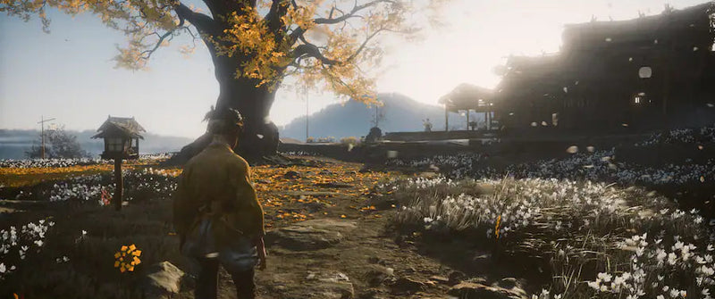 Sony PlayStation 5 Ghost of Yotei Game