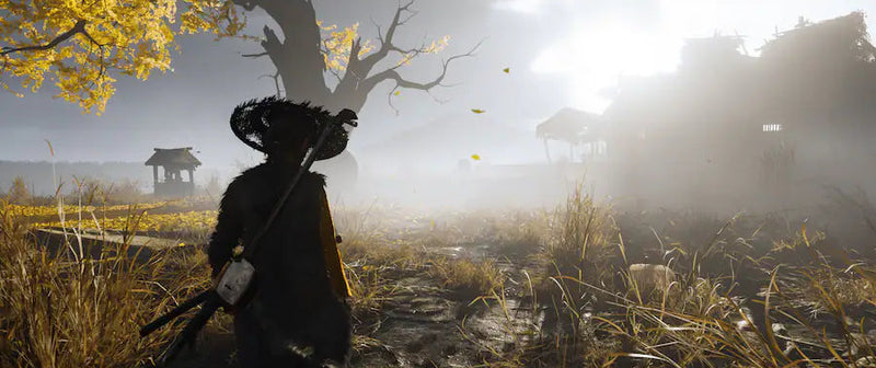 Sony PlayStation 5 Ghost of Yotei Game