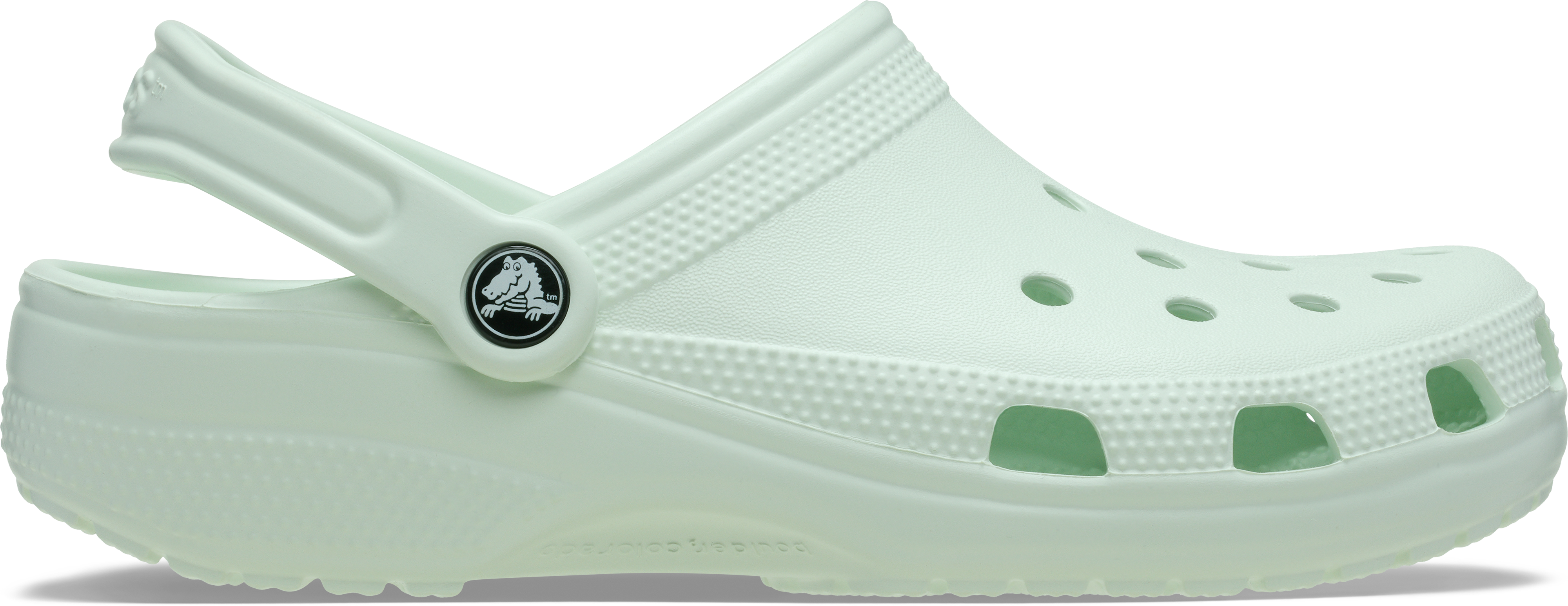 Crocs Classic Clogs
