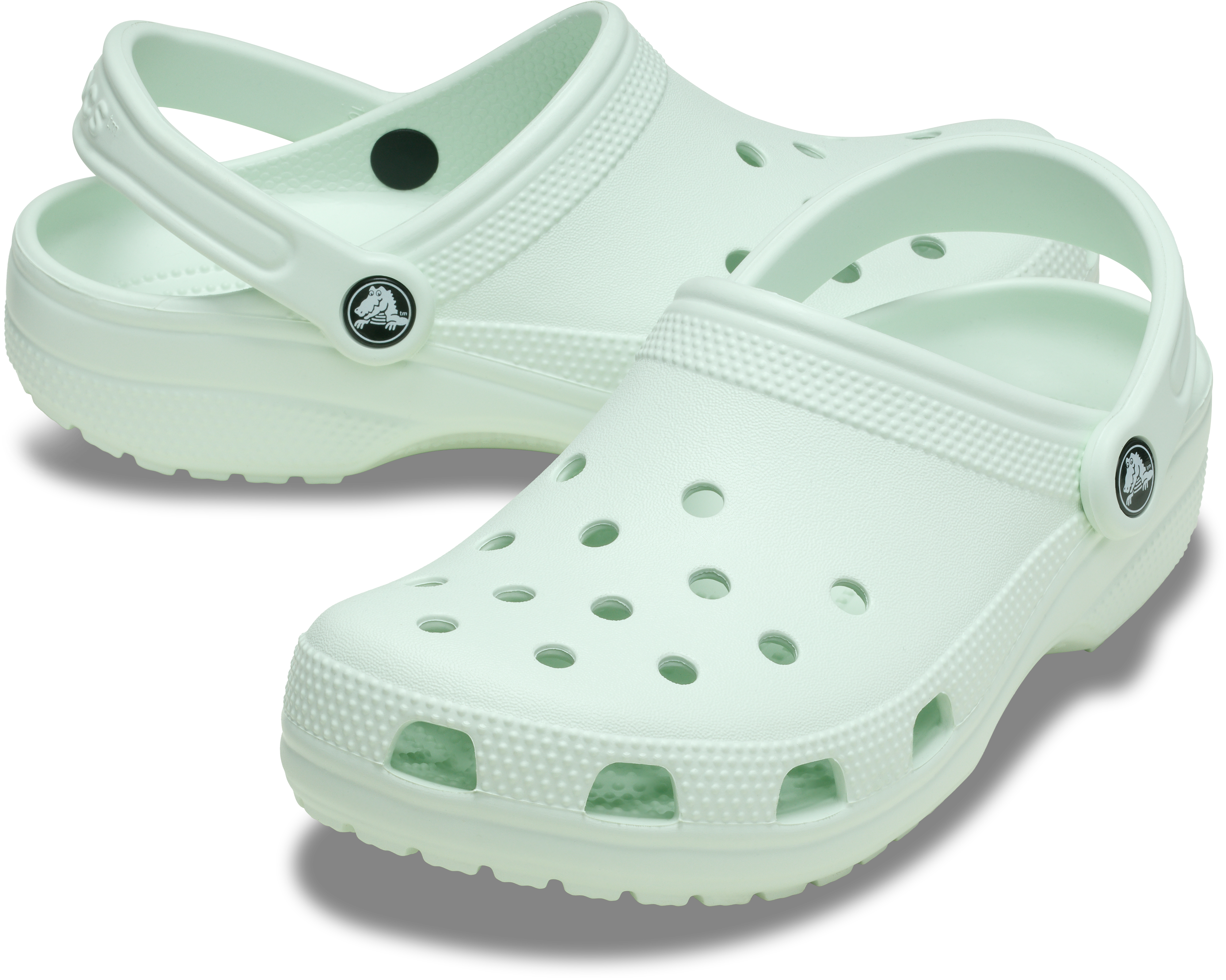Crocs Classic Clogs