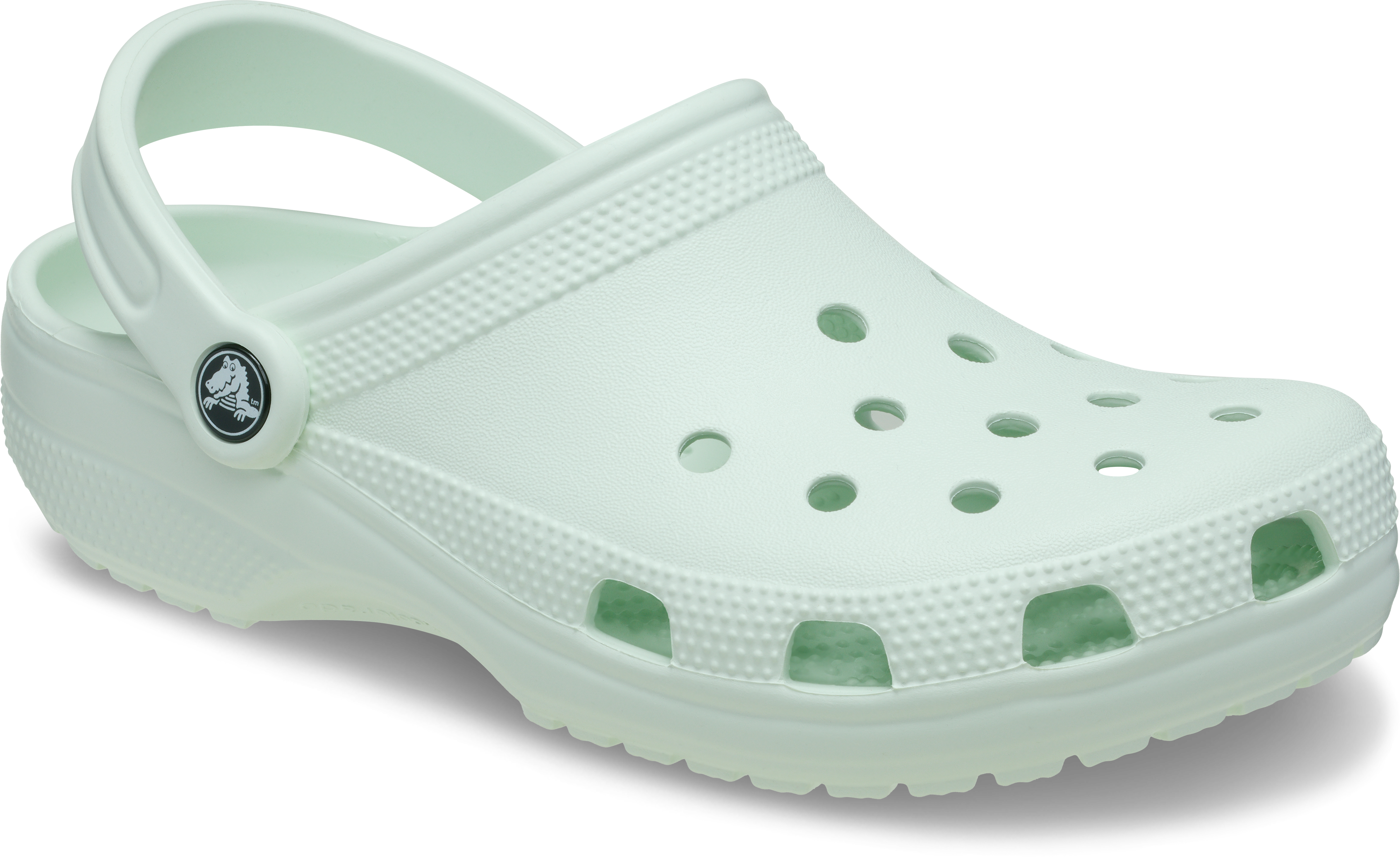 Crocs Classic Clogs
