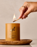 Bath & Body Works Single Wick Candle - Cinnamon Honey Toast