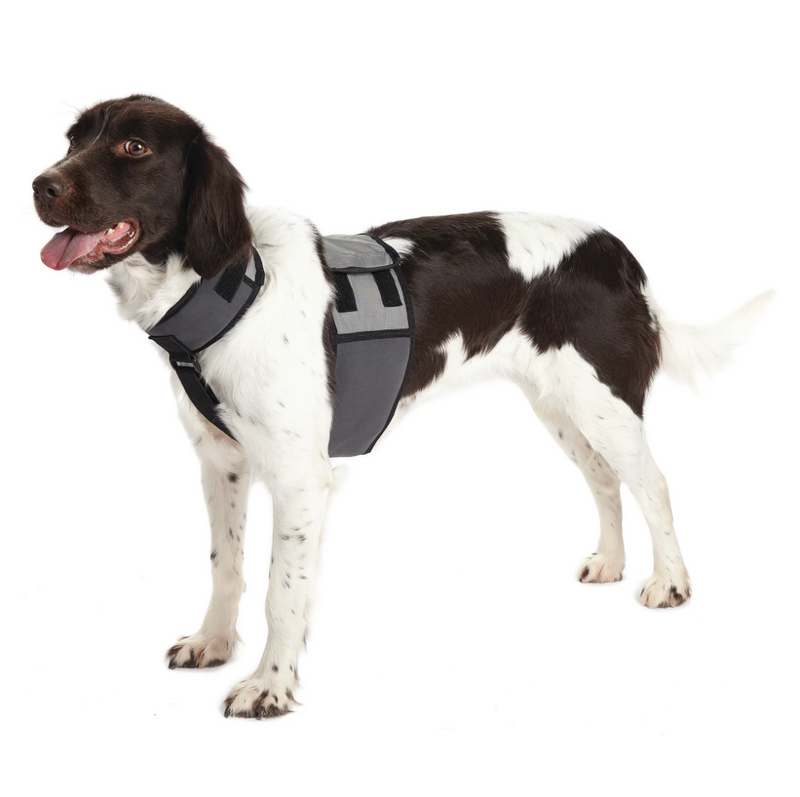 CoolerDog Dog Cooling Vest and Collar - Size Medium