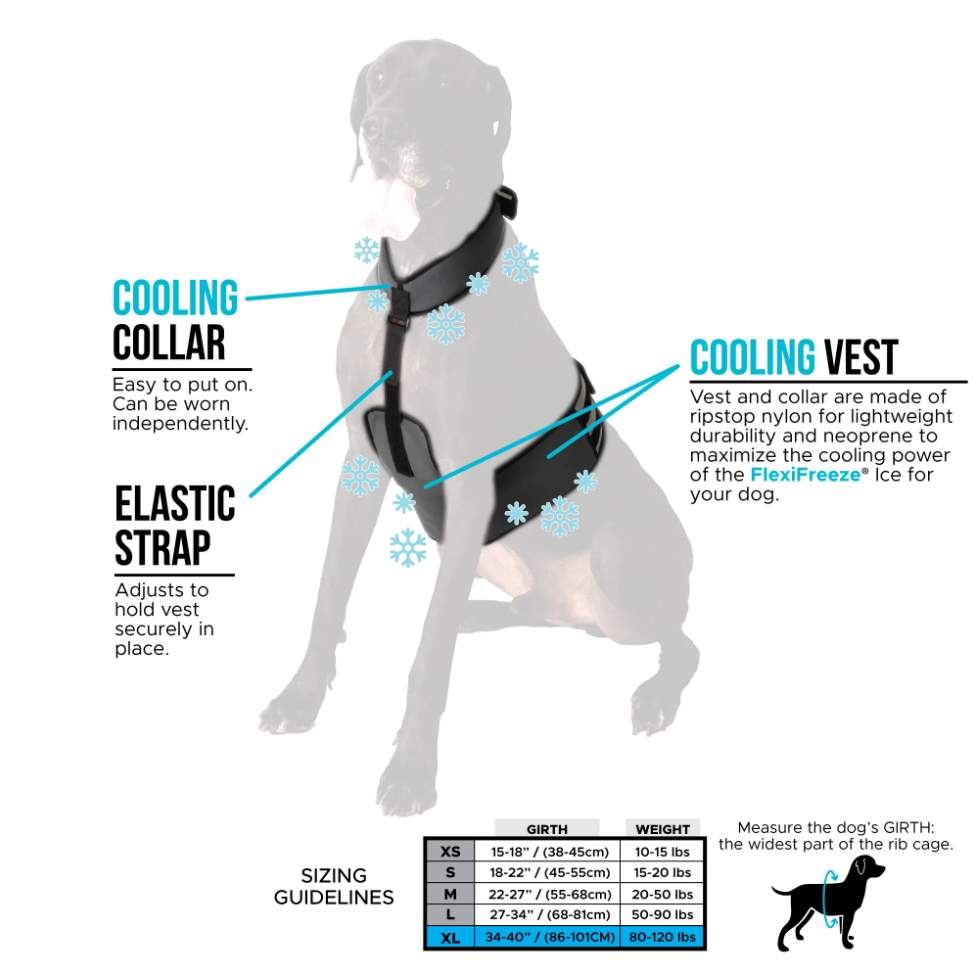 CoolerDog Dog Cooling Vest and Collar - Size Medium