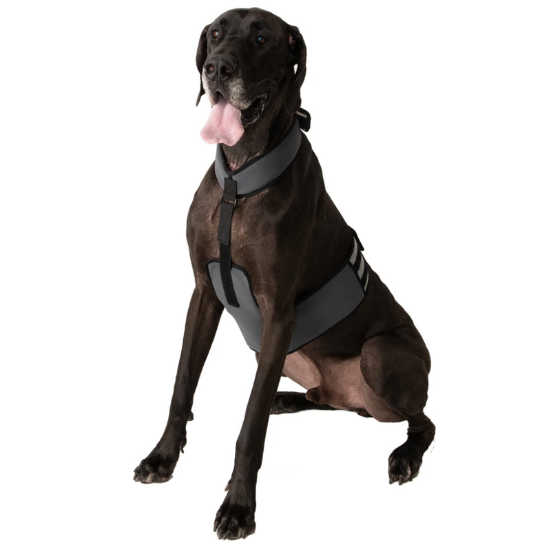 CoolerDog Dog Cooling Vest and Collar - Size Large