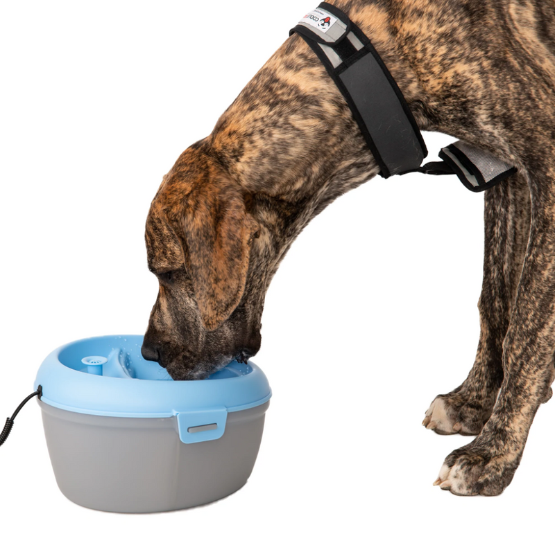 CoolerDog Healthspring Pet Fountain - 4 Liter