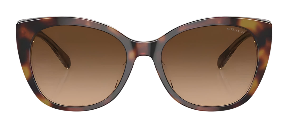 Coach Womens CH566 Polarized Sunglasses - Tortoise Beige/Brown Gradient